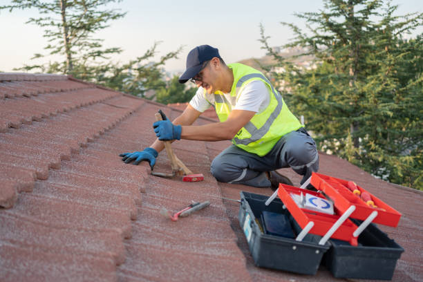 Best Shingle Roofing Installation  in Lake Camelot, WI